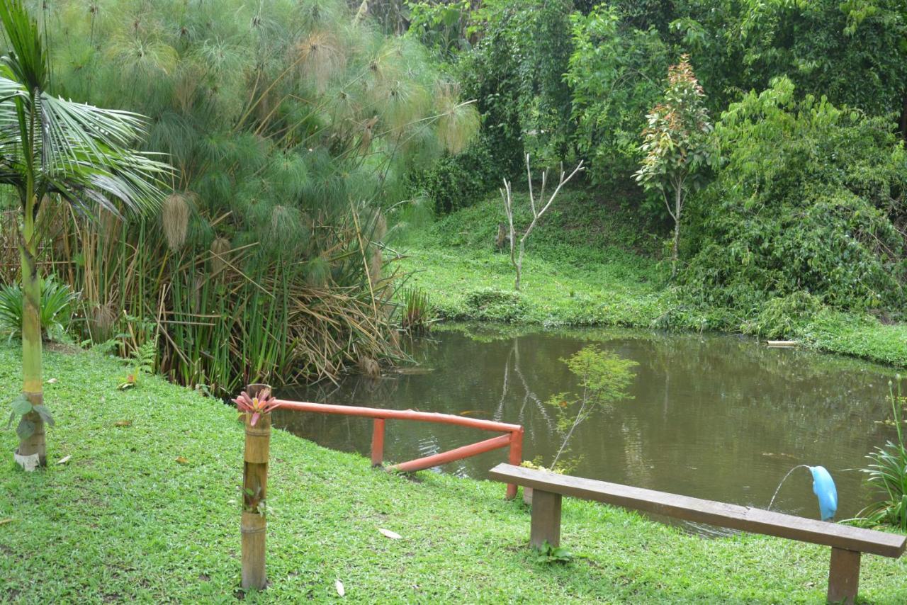 Sitio E Pousada Recanto Dos Ipes Teresópolis Kültér fotó